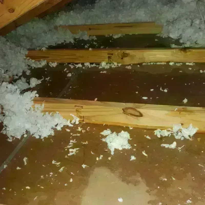 Attic Water Damage in Boothwyn, PA